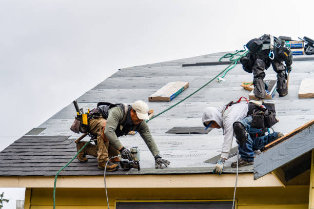 Professional Storm Damage Roof Repair technician working in Fort Loramie, OH